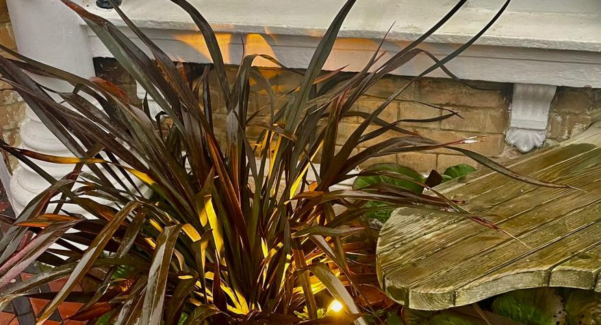 Outdoor Lighting, Brighton